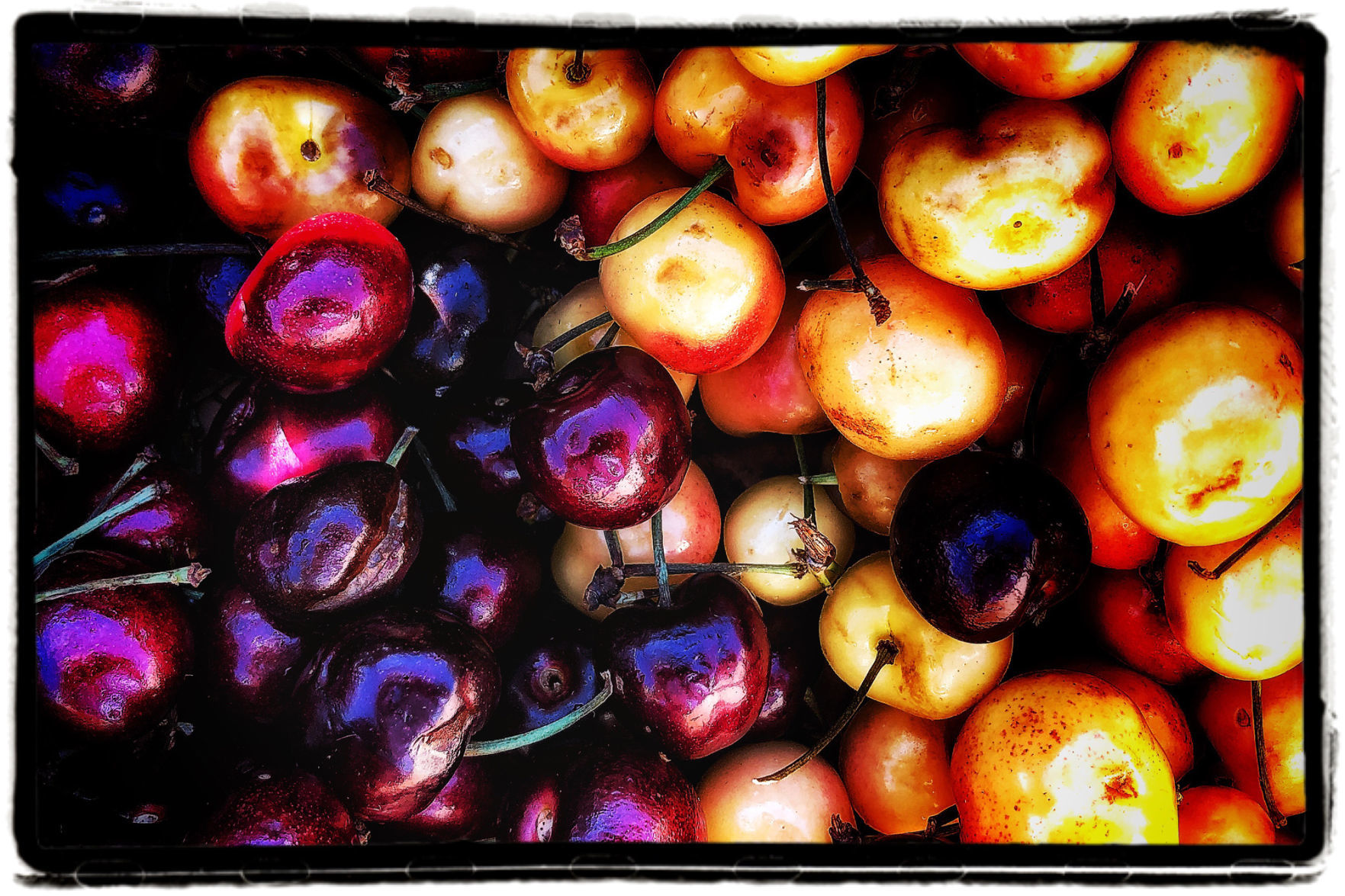 Farmers Market Produce